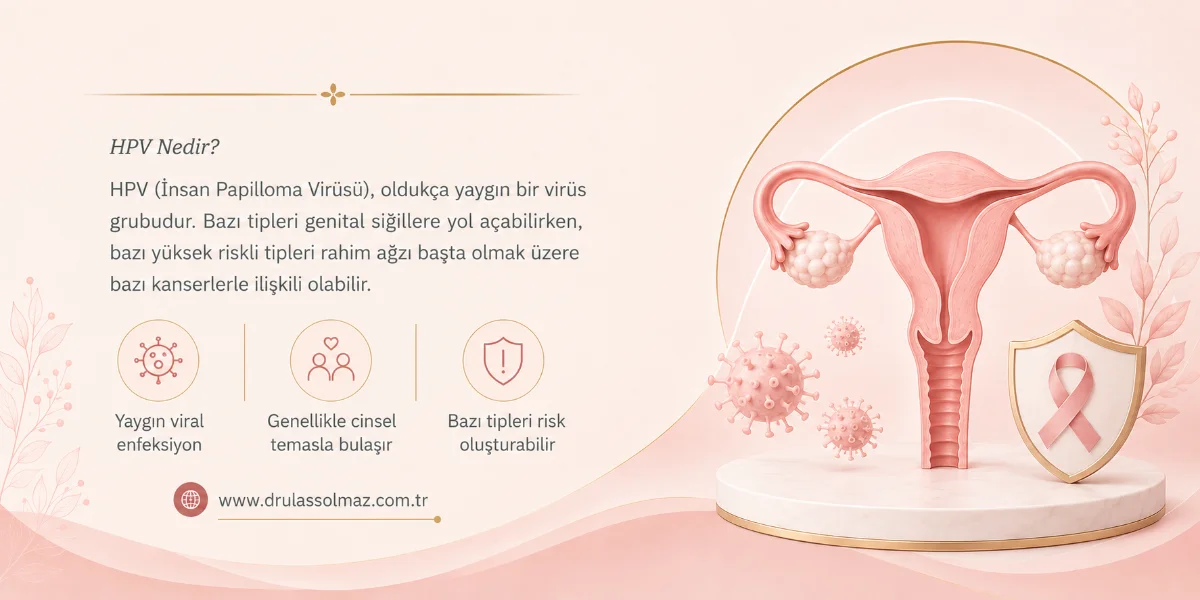 HPV Nedir?
